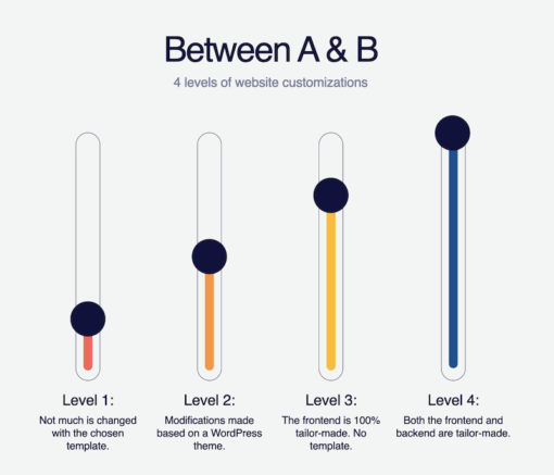 Slider infographic showing 4 different levels of website customization